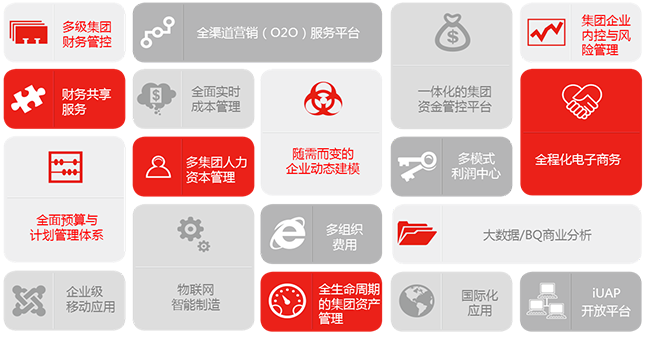 用友NC大型企业管理软件(图2)